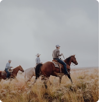 <p>Ranch &amp; Western Life</p>