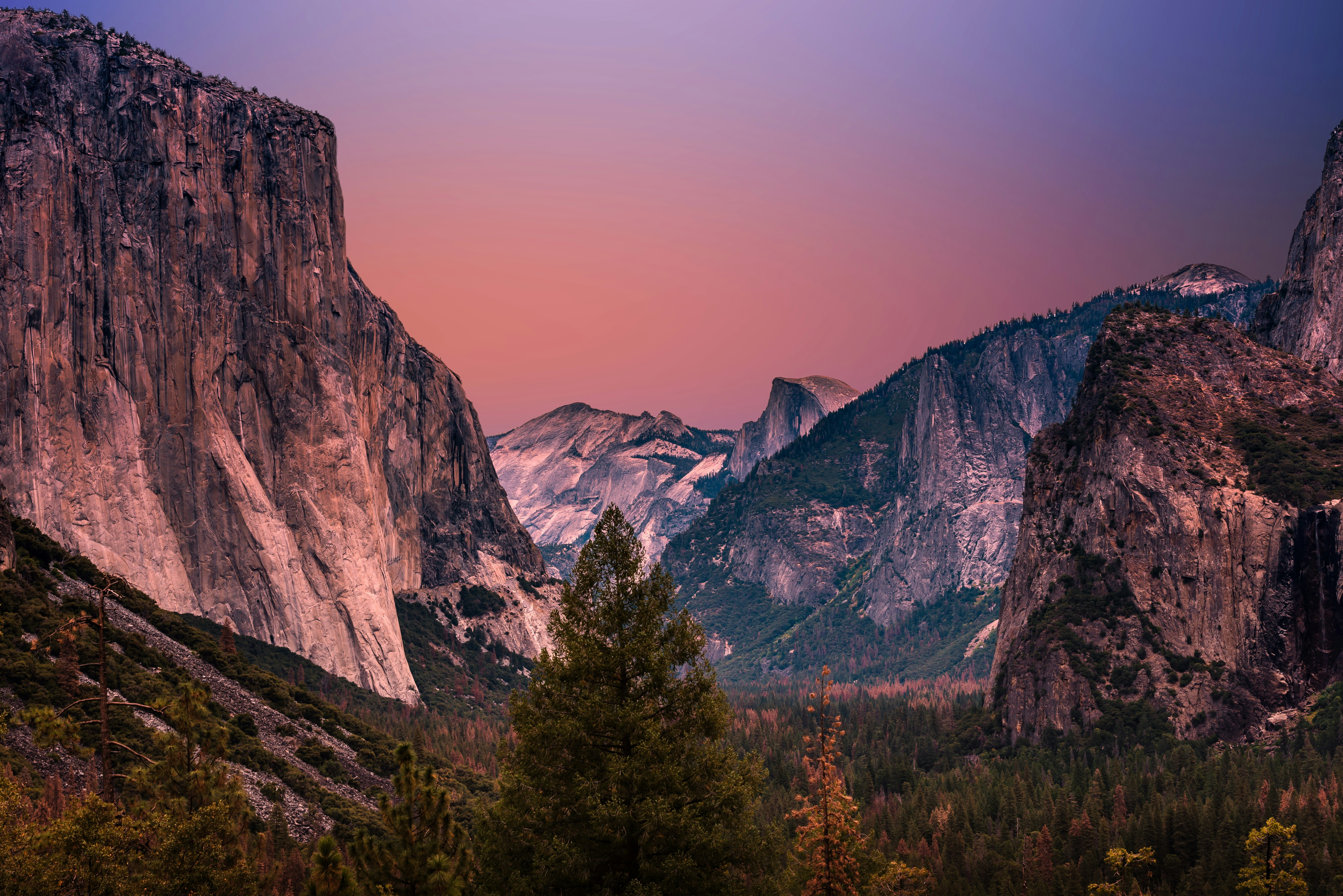 <p>National Park Jobs</p>
