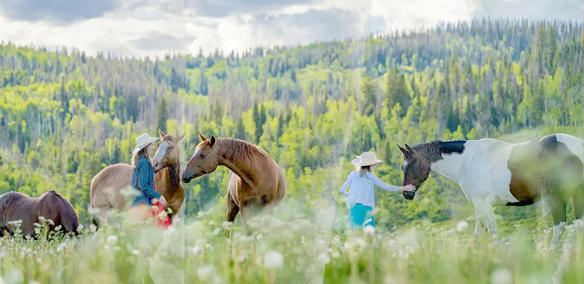 Vista Verde Ranch