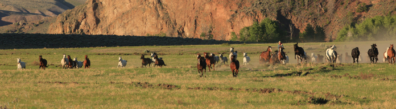Bitterroot Ranch