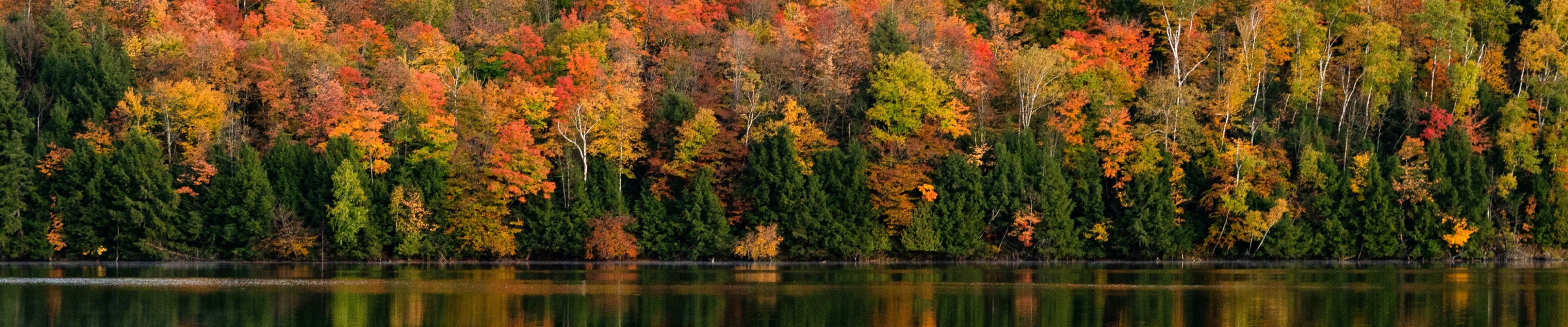 Highland Lodge