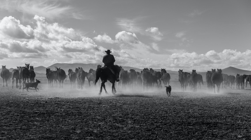 Ladder Ranch