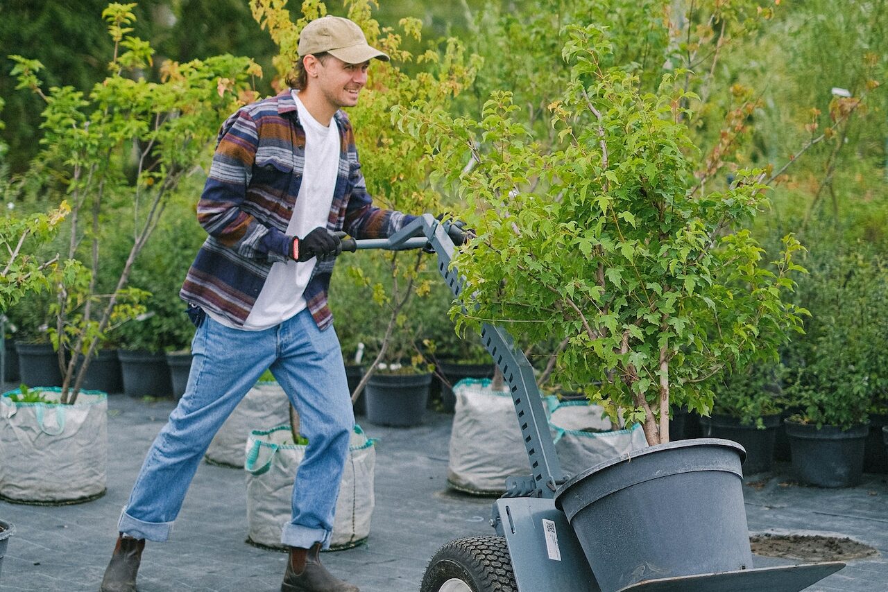 Making the Most of Your Seasonal Job: Tips for Success