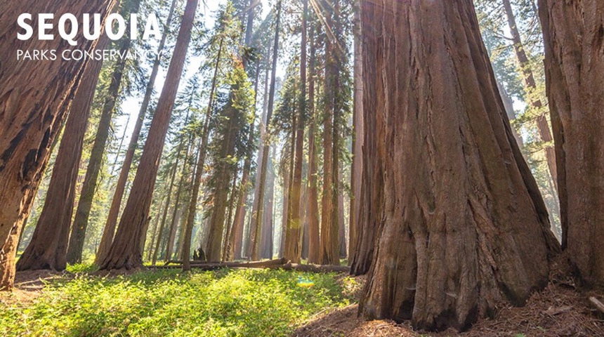 Sequoia Parks Conservancy