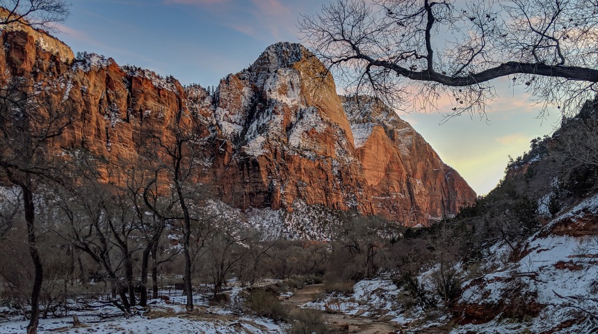 Location: Zion National Park